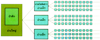 New Theory: case study